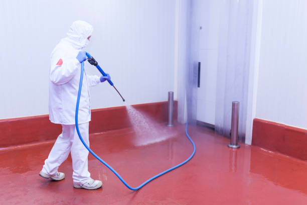 Best Graffiti Removal  in Farmersville, CA